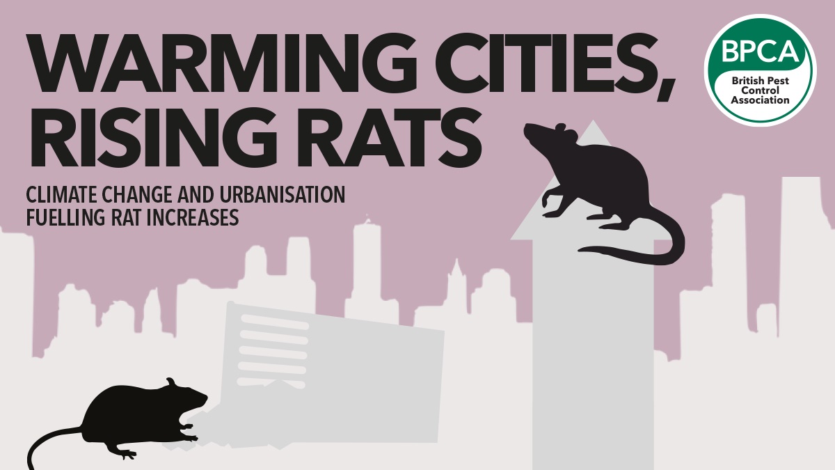 rising rats hero rising rats hero